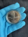 1 доллар 1999 США Йеллоустоун,  UNC, серебро