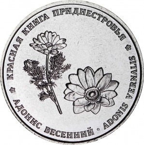 1 ruble 2021 Transnistria, Adonis spring, buy, price