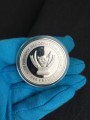 240 франков 2012 Конго, Год дракона, серебро