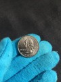 25 cents Quarter Dollar 2004 USA Texas mint mark D
