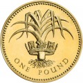1 pound 1990 England, Leek and royal diadem representing Wales