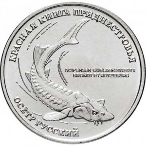 1 ruble 2018 Transnistria, Russian sturgeon price, composition, diameter, thickness, mintage, orientation, video, authenticity, weight, Description