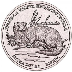 1 ruble 2018 Transnistria, Otter price, composition, diameter, thickness, mintage, orientation, video, authenticity, weight, Description