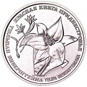 1 ruble 2019 Transnistria, Bieberstein Tulip price, composition, diameter, thickness, mintage, orientation, video, authenticity, weight, Description