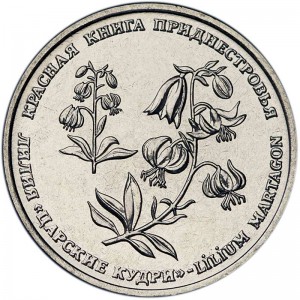 1 ruble 2019 Transnistria, Lilium martagon price, composition, diameter, thickness, mintage, orientation, video, authenticity, weight, Description