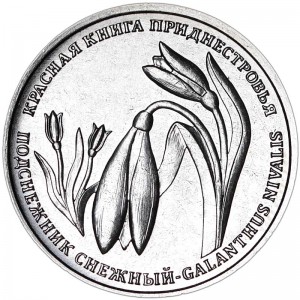 1 ruble 2020 Transnistria, Galanthus nivalis price, composition, diameter, thickness, mintage, orientation, video, authenticity, weight, Description