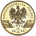 2 Zloty 1996 Polen Braunbrustigel