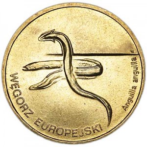 2 zloty 2003 Poland European eel price, composition, diameter, thickness, mintage, orientation, video, authenticity, weight, Description