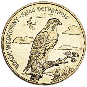 2 zloty 2008 Poland Wandering Falcon (Sokol Wedrowny) series "Animals" price, composition, diameter, thickness, mintage, orientation, video, authenticity, weight, Description