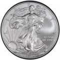 1 доллар 2009 США Шагающая Свобода, серебро UNC