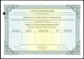 Сертификат 20 акций МММ 1994, серия ВИ