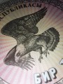 1 тыйын 1993 Киргизия, банкнота, хорошее качество XF