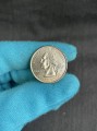 25 cent Quarter Dollar 2008 USA New Mexico (farbig)