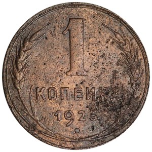 1 kopeck 1925 USSR from circulation price, composition, diameter, thickness, mintage, orientation, video, authenticity, weight, Description