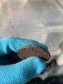 5 копеек 1770 ЕЕМ Россия, Екатерина II, красивый двойной удар 177070, состояние на фото