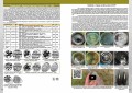 Katalog russischer und altrussischer Münzen 980-1917, 7 Ausgaben, elektronische Version im PDF
