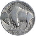 5 cents 1923 USA, Indian, Bison, Buffalo, from circulation