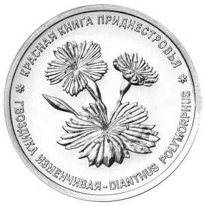 1 рубль 2025 Приднестровье, Красная книга Приднестровья, Гвоздика изменчивая