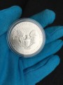 1 доллар 2013 США Шагающая Свобода,  UNC, серебро