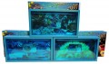Set of 1 dollar 2013 Niue Tropical fish, 3 coins in boxes