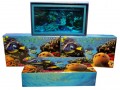 Set of 1 dollar 2013 Niue Tropical fish, 3 coins in boxes